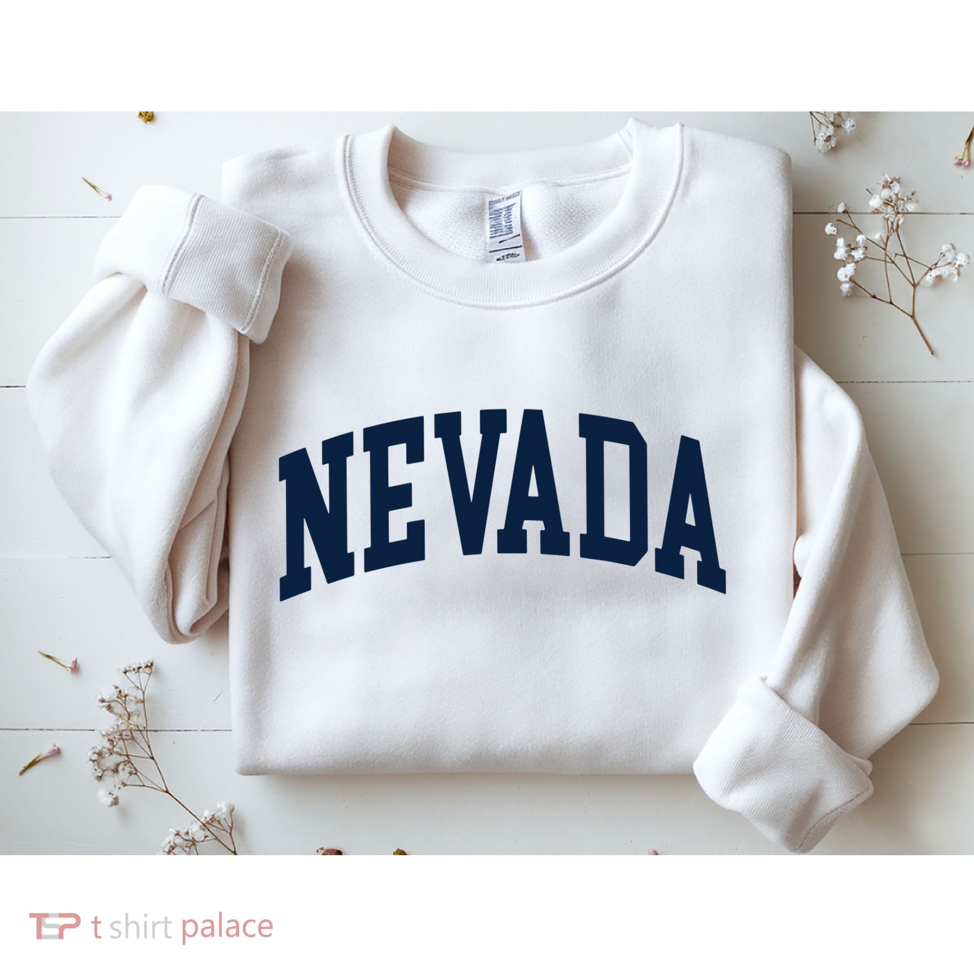 Nevada Usa Varsity Style Blue Text Sweatshirt