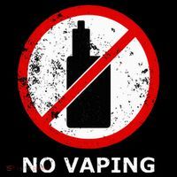 No Vaping Anti Vape Toddler Hoodie thumb 2