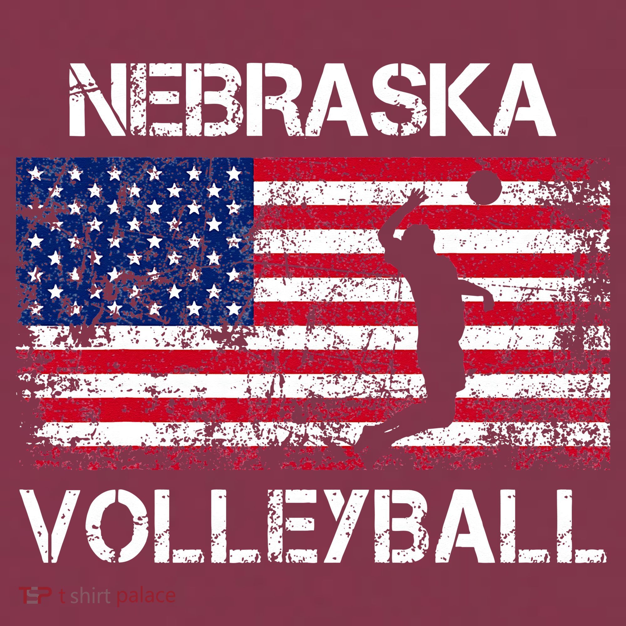 Nebraska Volleyball Team American Flag Gift 16oz Travel Tumbler