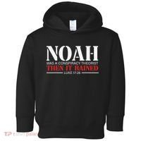 Noah Was A Conspiracy Theorist Then It Rained Toddler Hoodie thumb 0