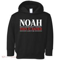 Noah Was A Conspiracy Theorist Then It Rained Toddler Hoodie thumb 0
