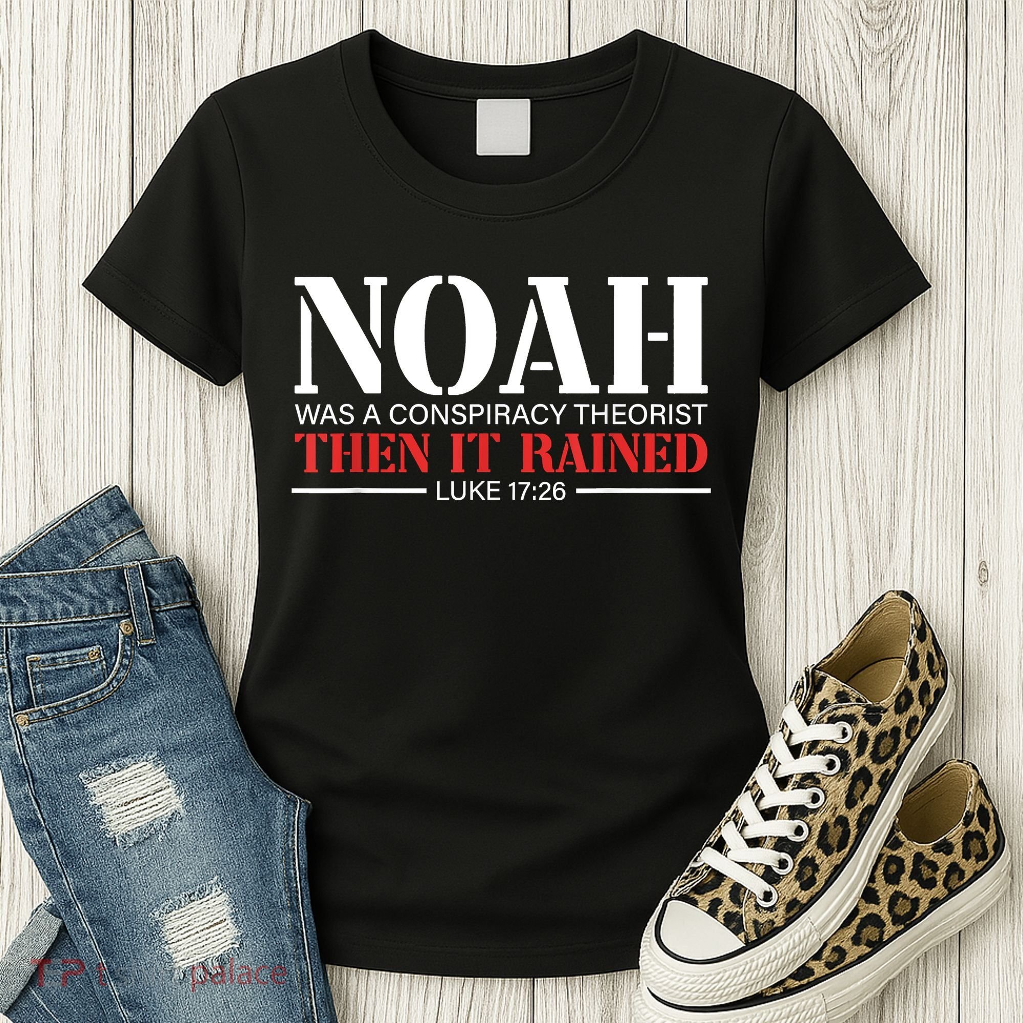 Noah Was A Conspiracy Theorist Then It Rained Women's T-Shirt