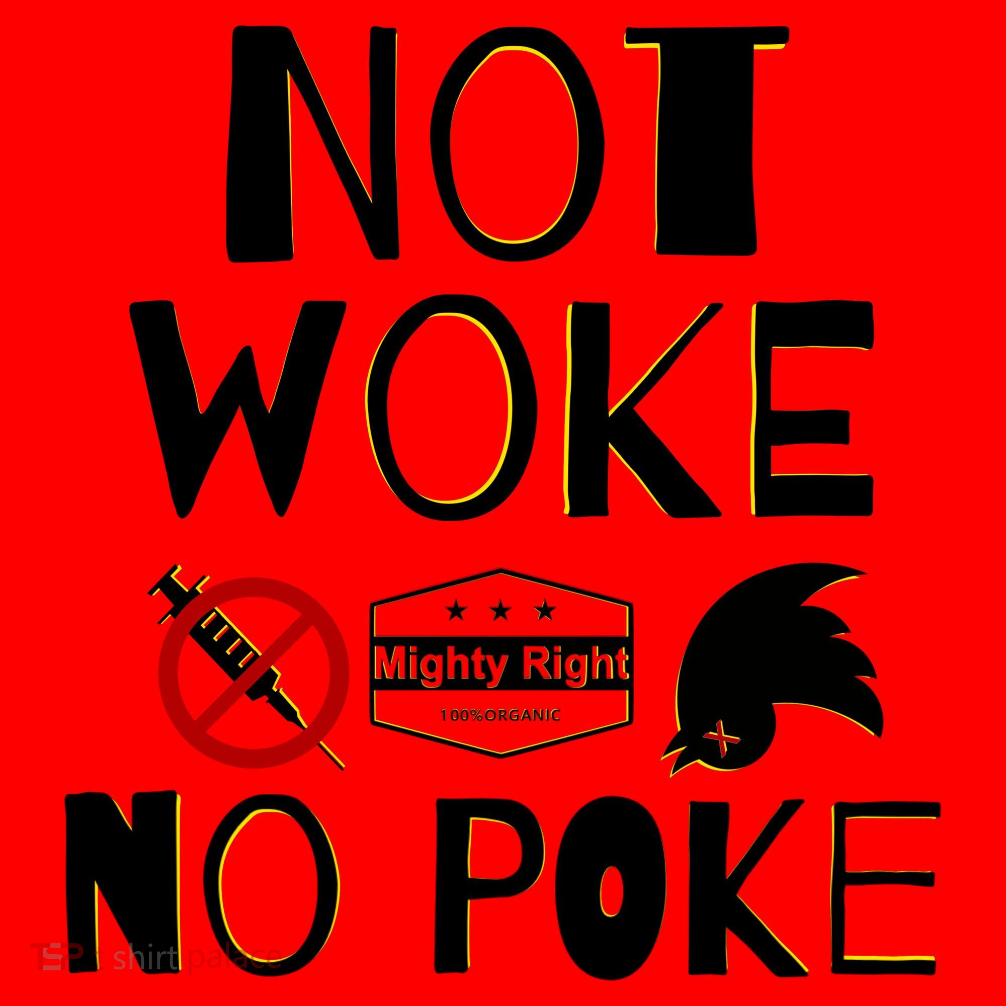 Not Woke, No Poke Santa Hat