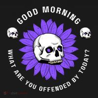 Not Woke Politically Incorrect MAGA Conservative Good Morning Snowflakes Toddler Hoodie thumb 2