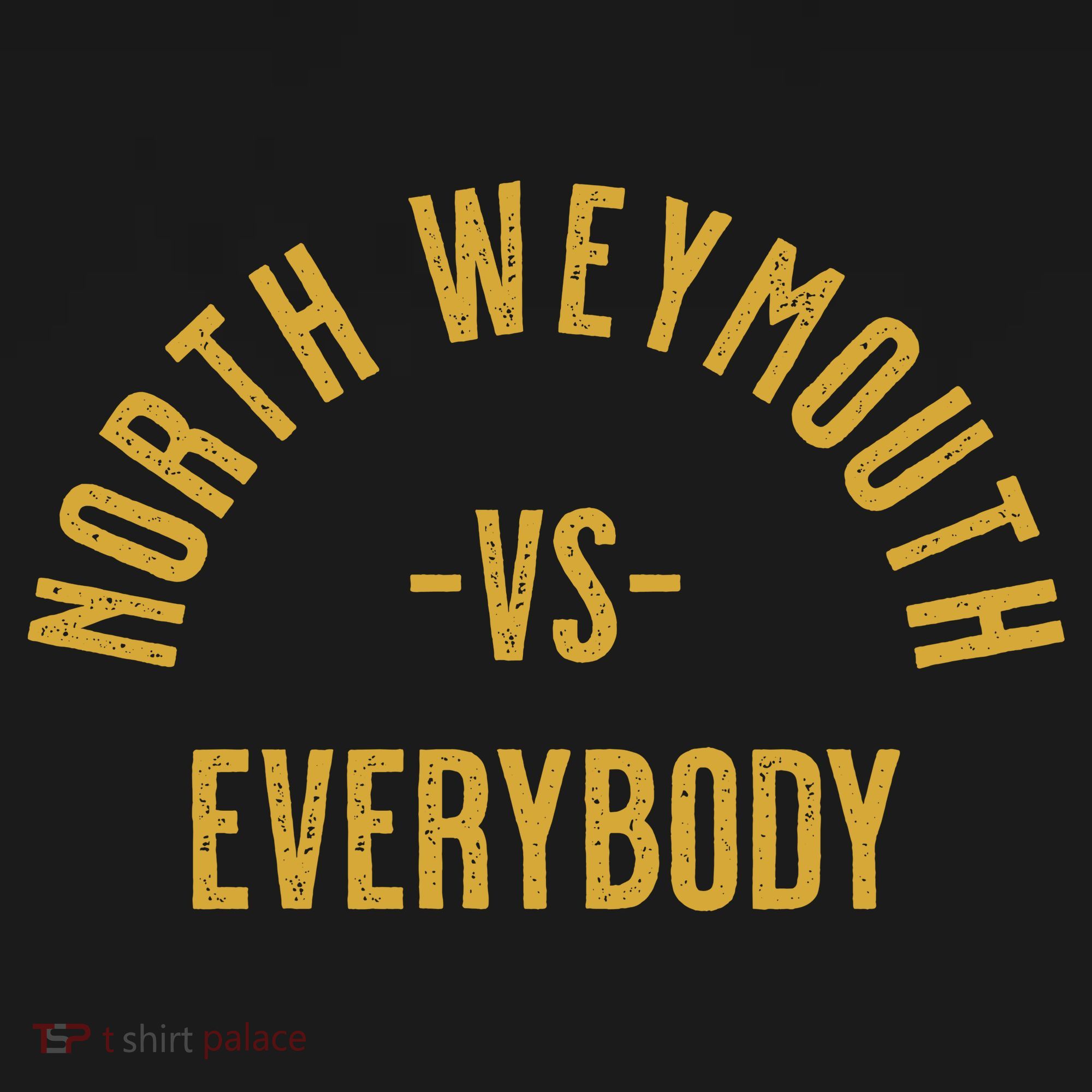 North Weymouth Vs Everybody Polo