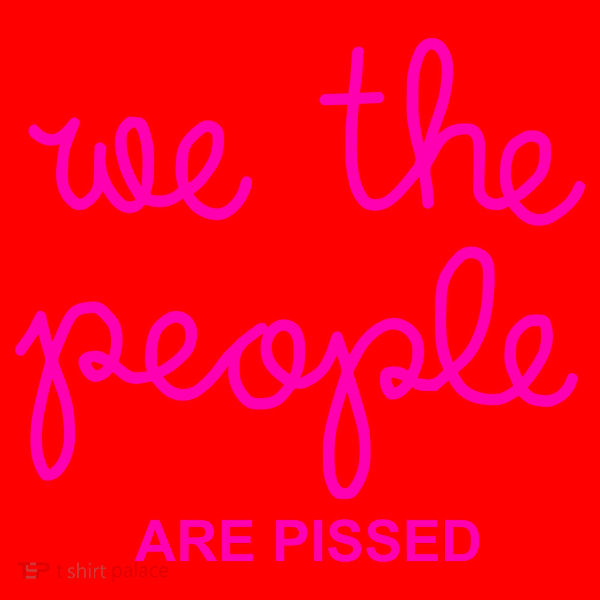 NIcolle Wallace We The People Are Pissed Off Santa Hat