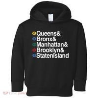 New York 5 Boroughs Toddler Hoodie thumb 0