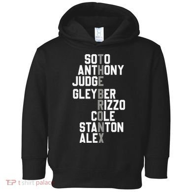 New York Baseball Player Name Toddler Hoodie