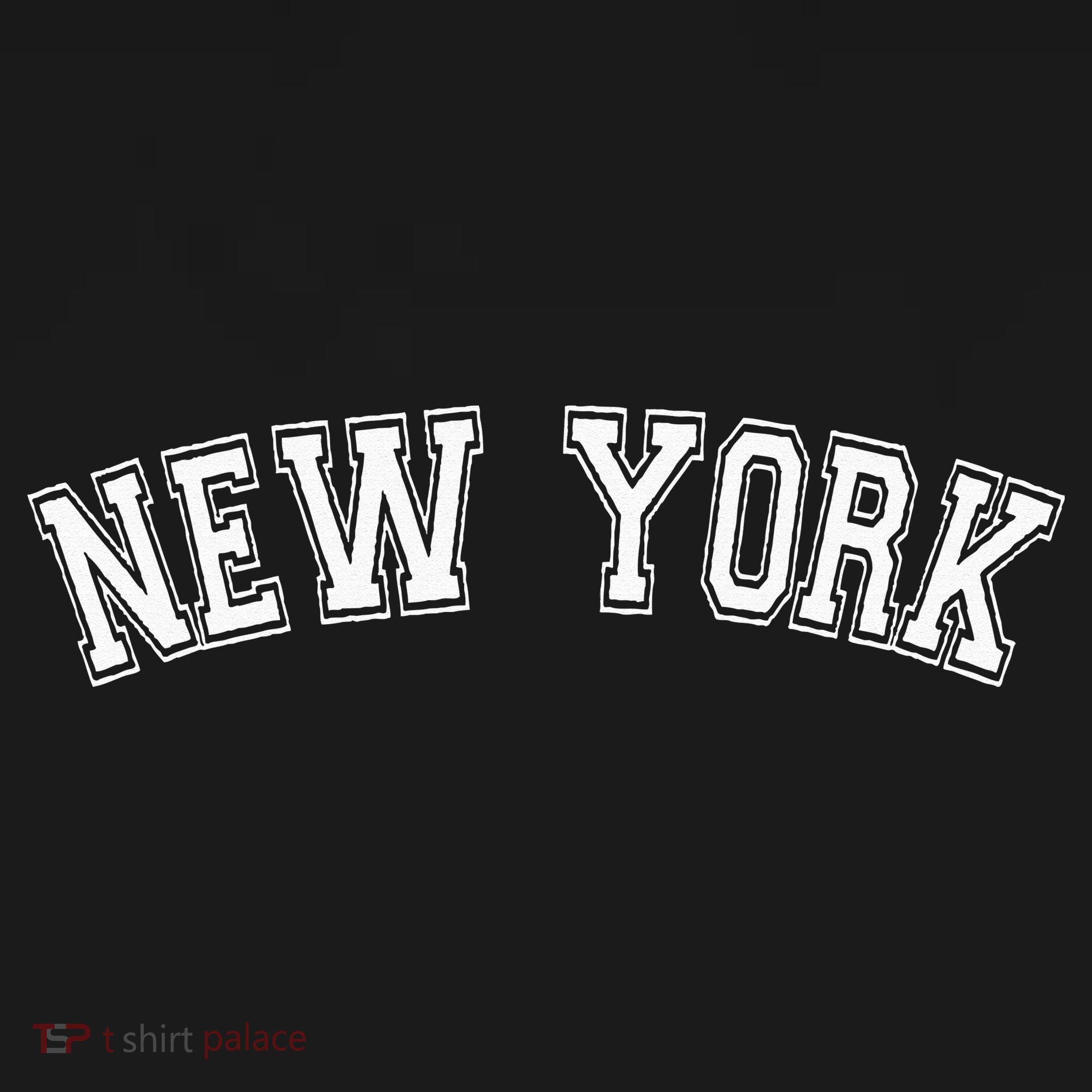 New York New York Coaster