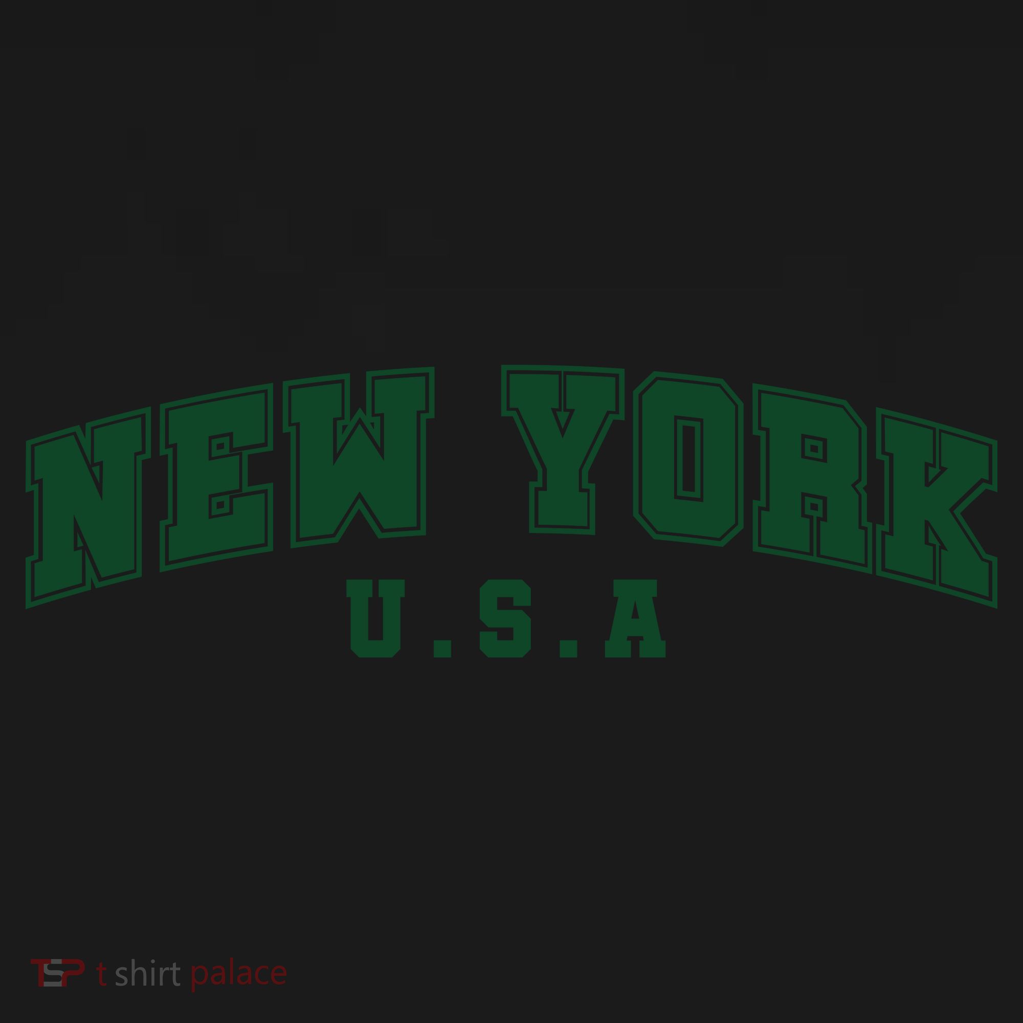 New York USA Coaster