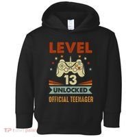Officialnager 13th Birthday Level 13 Unlocked Toddler Hoodie thumb 0