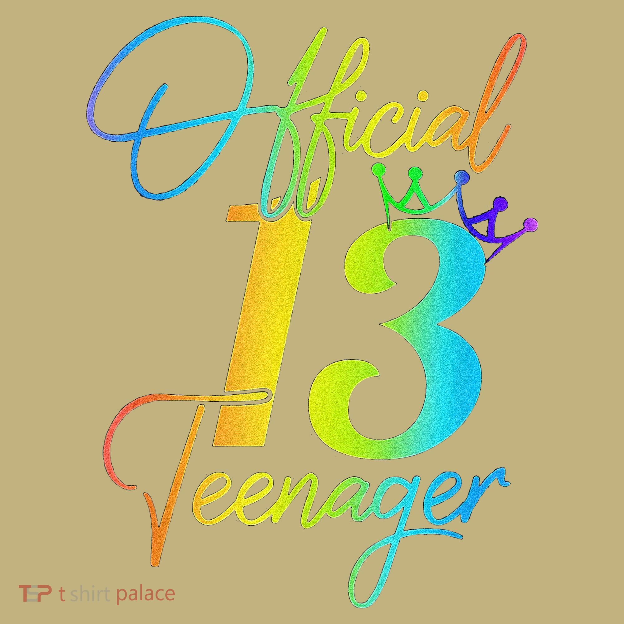 Officenager 13 Years Old 13th Birthday Gifts Hoodie
