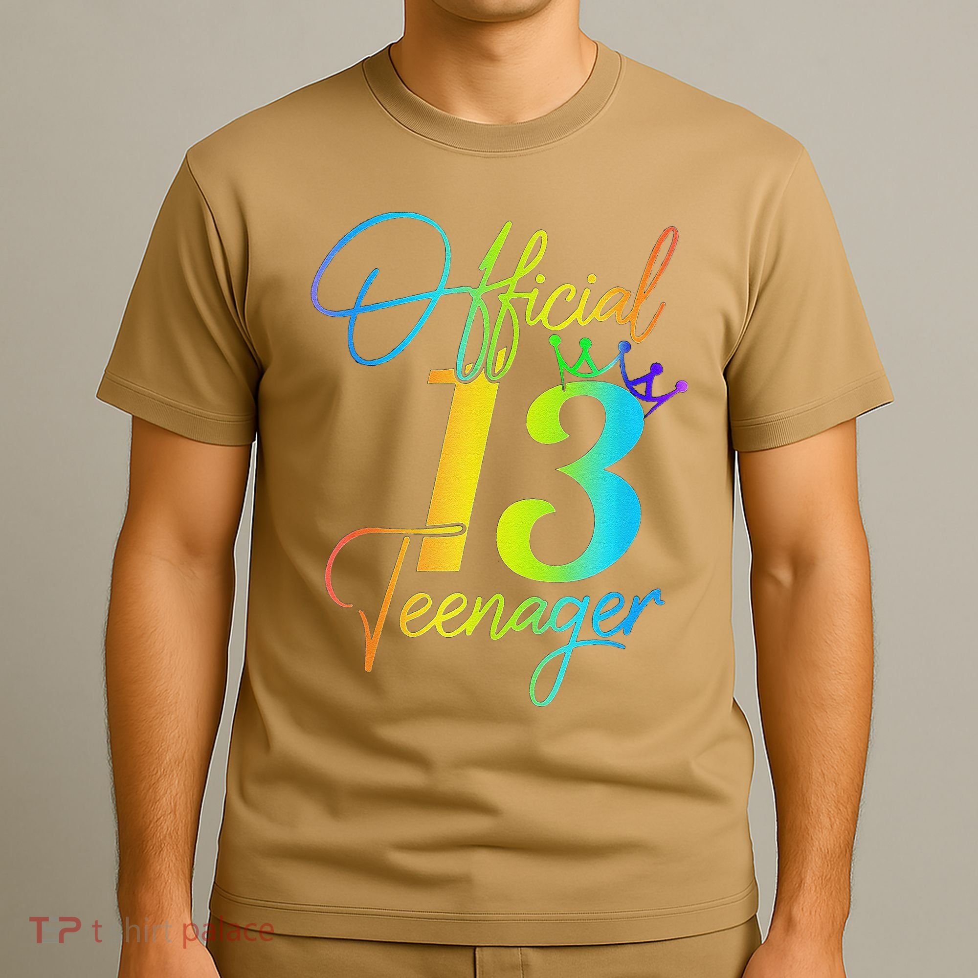 Officenager 13 Years Old 13th Birthday Gifts T-Shirt