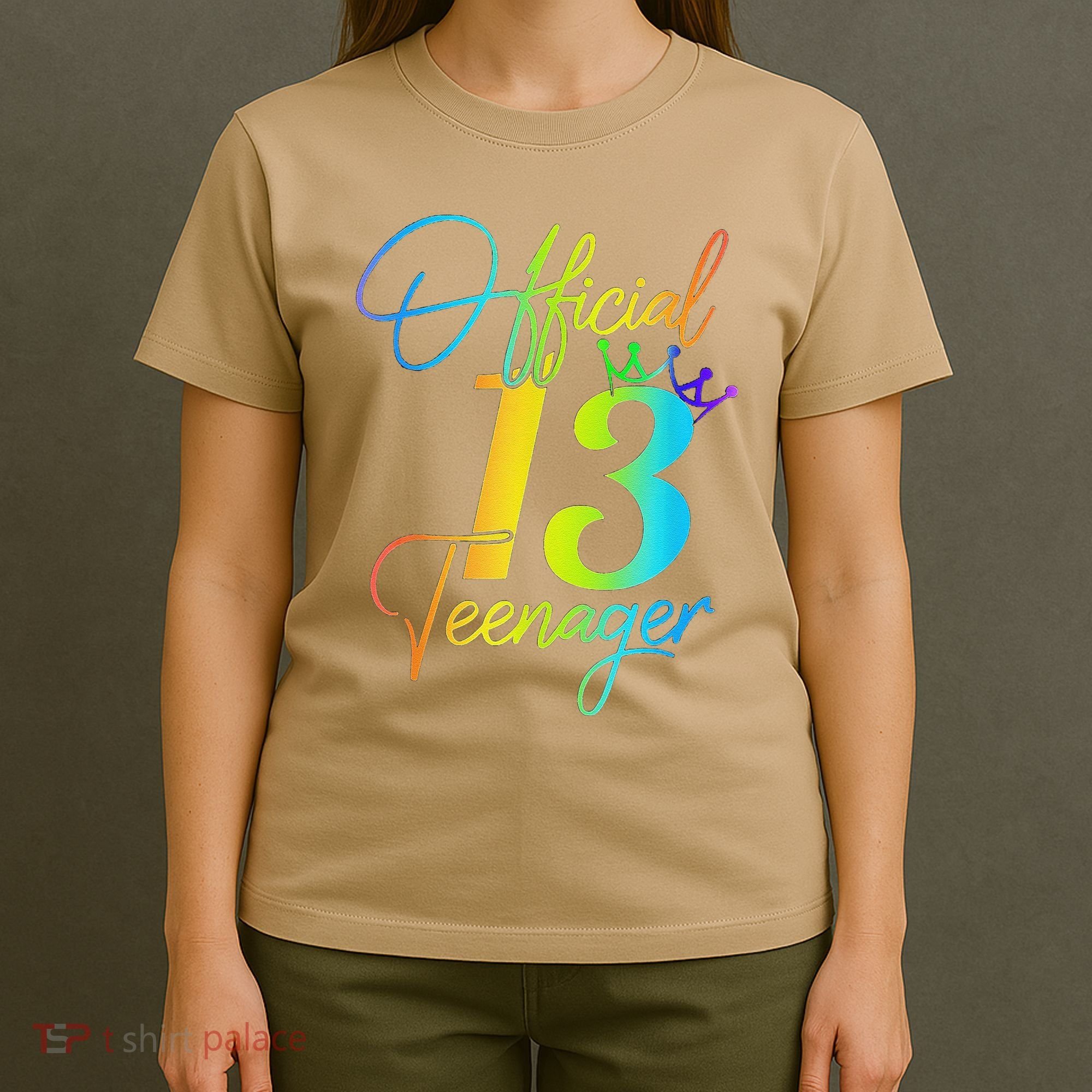 Officenager 13 Years Old 13th Birthday Gifts T-Shirt