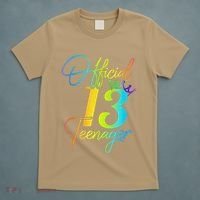 Officenager 13 Years Old 13th Birthday Gifts T-Shirt thumb 5