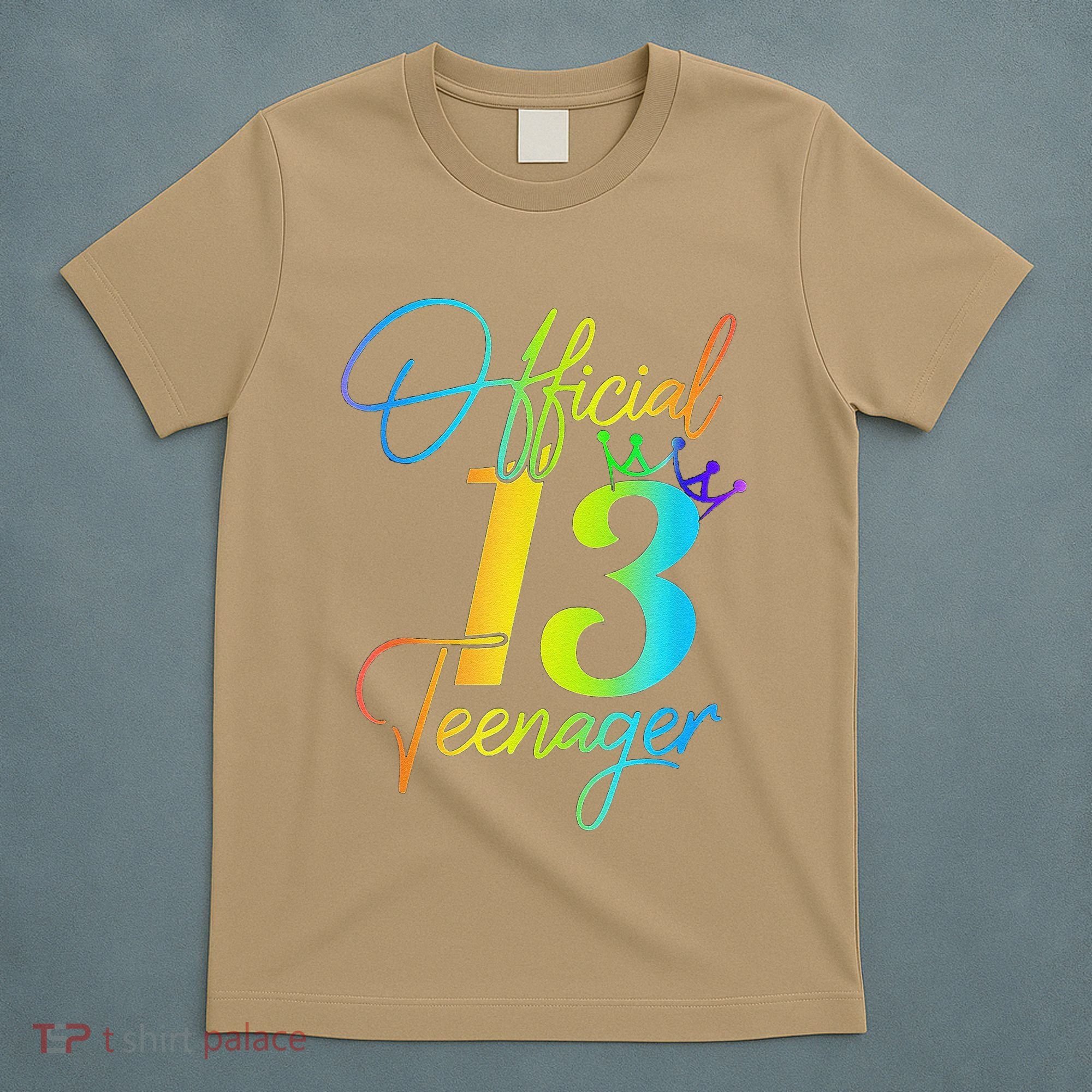 Officenager 13 Years Old 13th Birthday Gifts T-Shirt