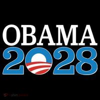 Obama 2028 Logo Ornament thumb 1