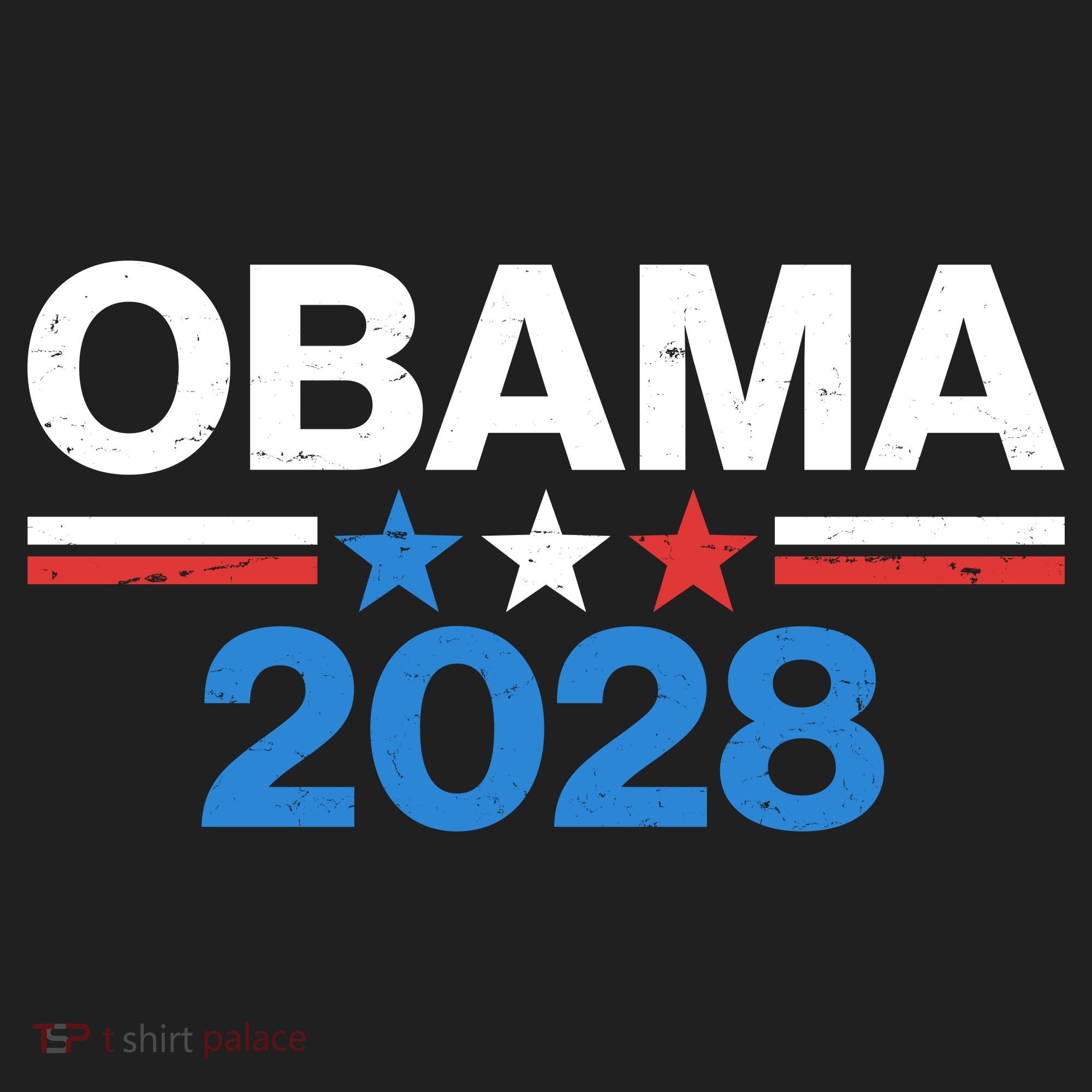 Obama 2028 Tumbler