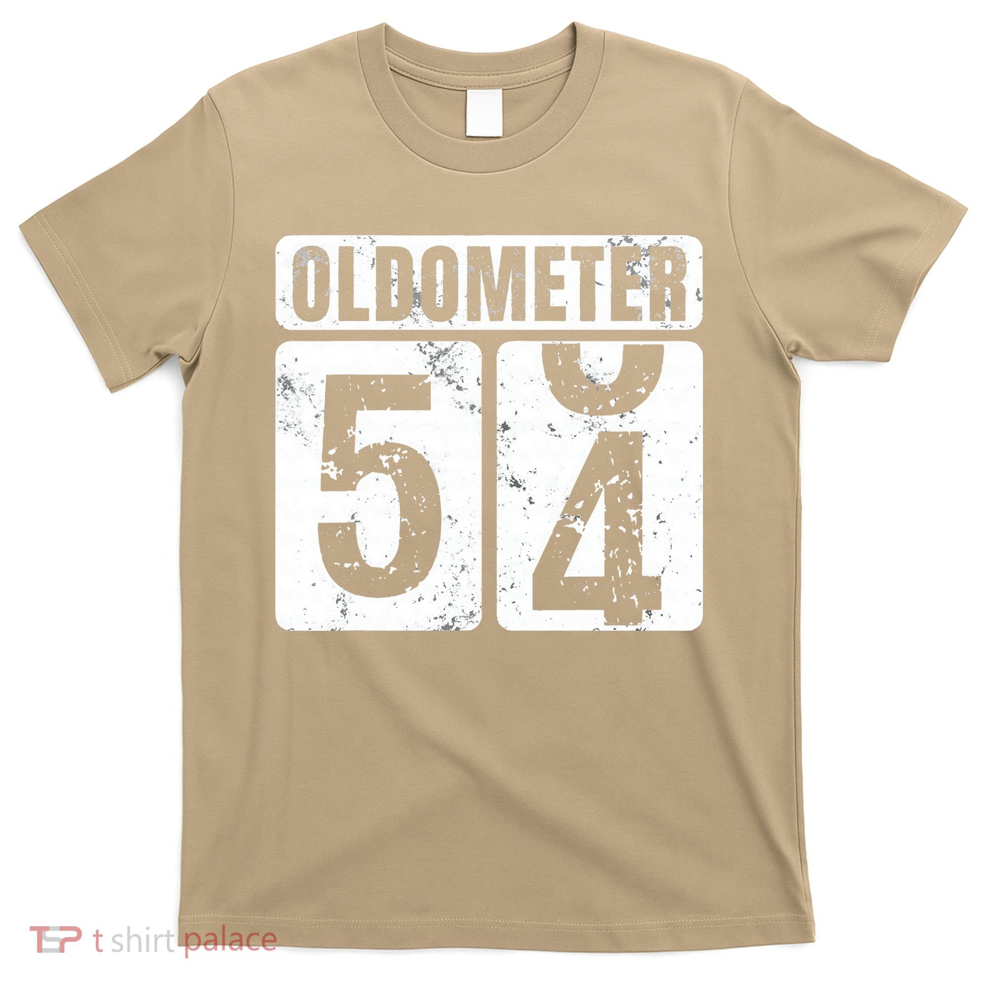 Oldometer 54 Vintage Funny 54th Birthday Gift Idea T-Shirt
