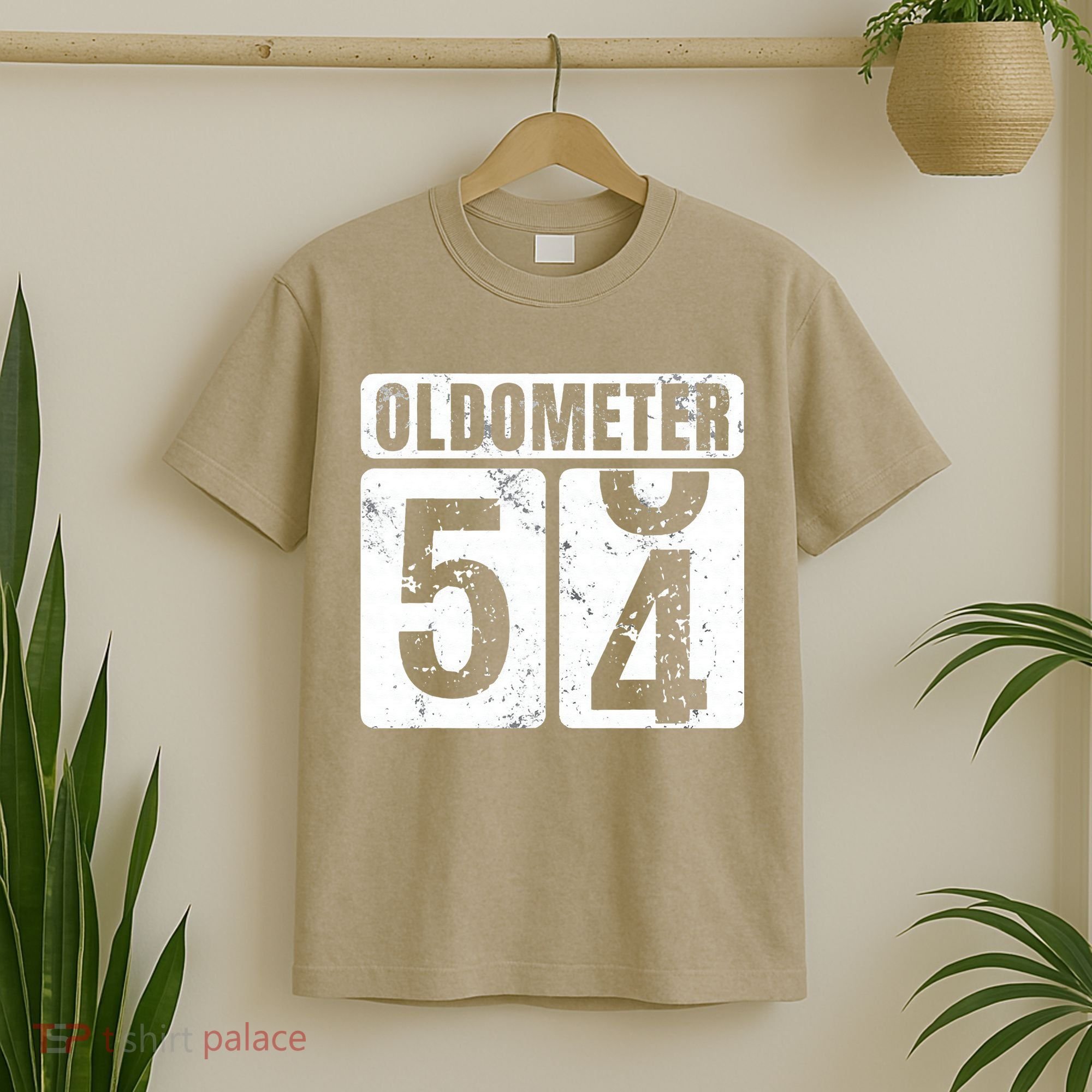 Oldometer 54 Vintage Funny 54th Birthday Gift Idea T-Shirt