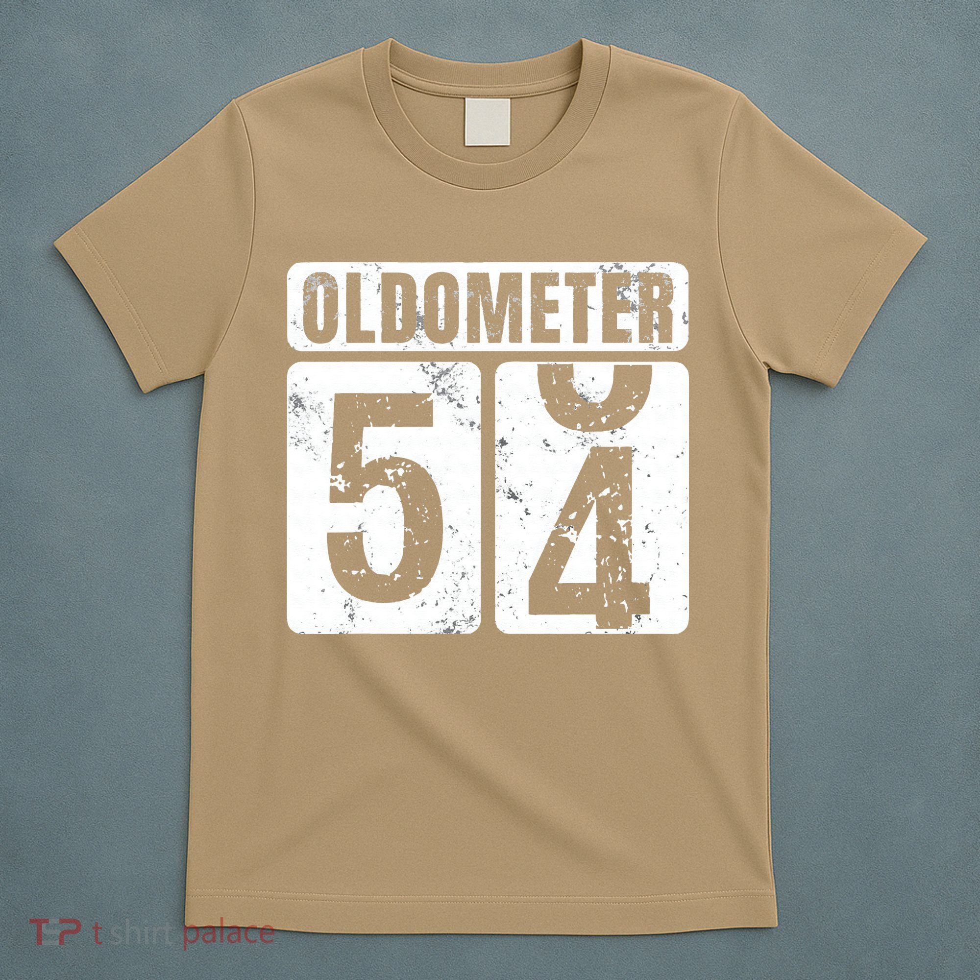 Oldometer 54 Vintage Funny 54th Birthday Gift Idea T-Shirt