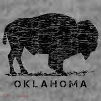 Oklahoma And American Buffalo Bison Toddler Hoodie thumb 2