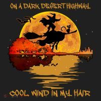 On A Dark Desert Highway Cool Wind In My Hair Witch Hat thumb 2