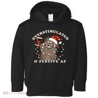Overstimulated And Festive Af Raccoon Christmas Sweatshirt Toddler Hoodie thumb 0