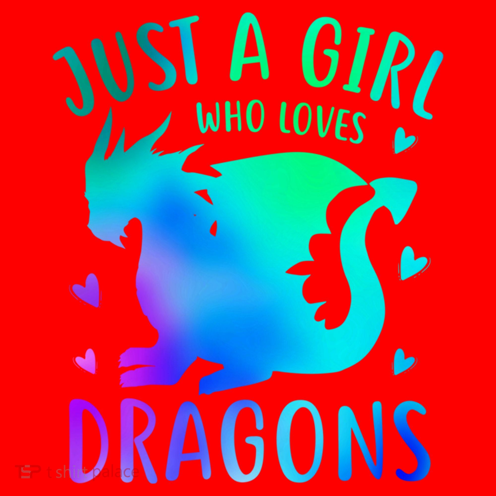 Only A Girl Who Loves Dragons Gift Santa Hat