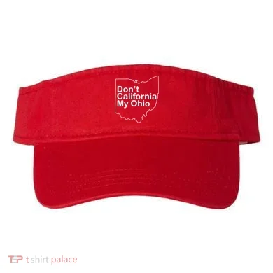 Visor