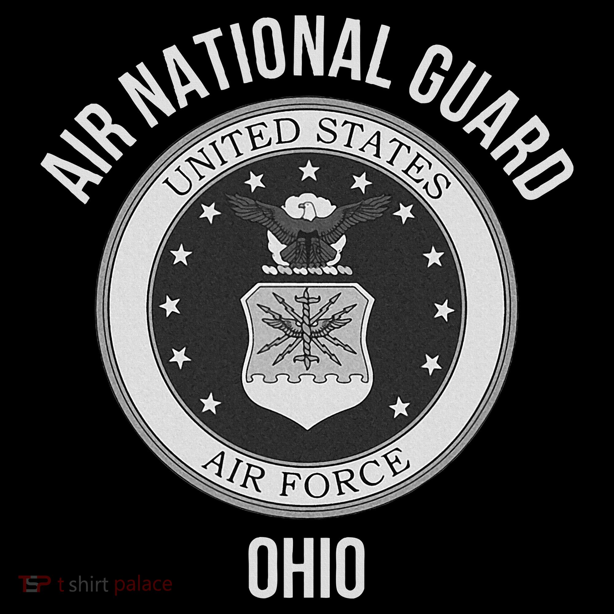 Ohio Air National Guard Hoodie