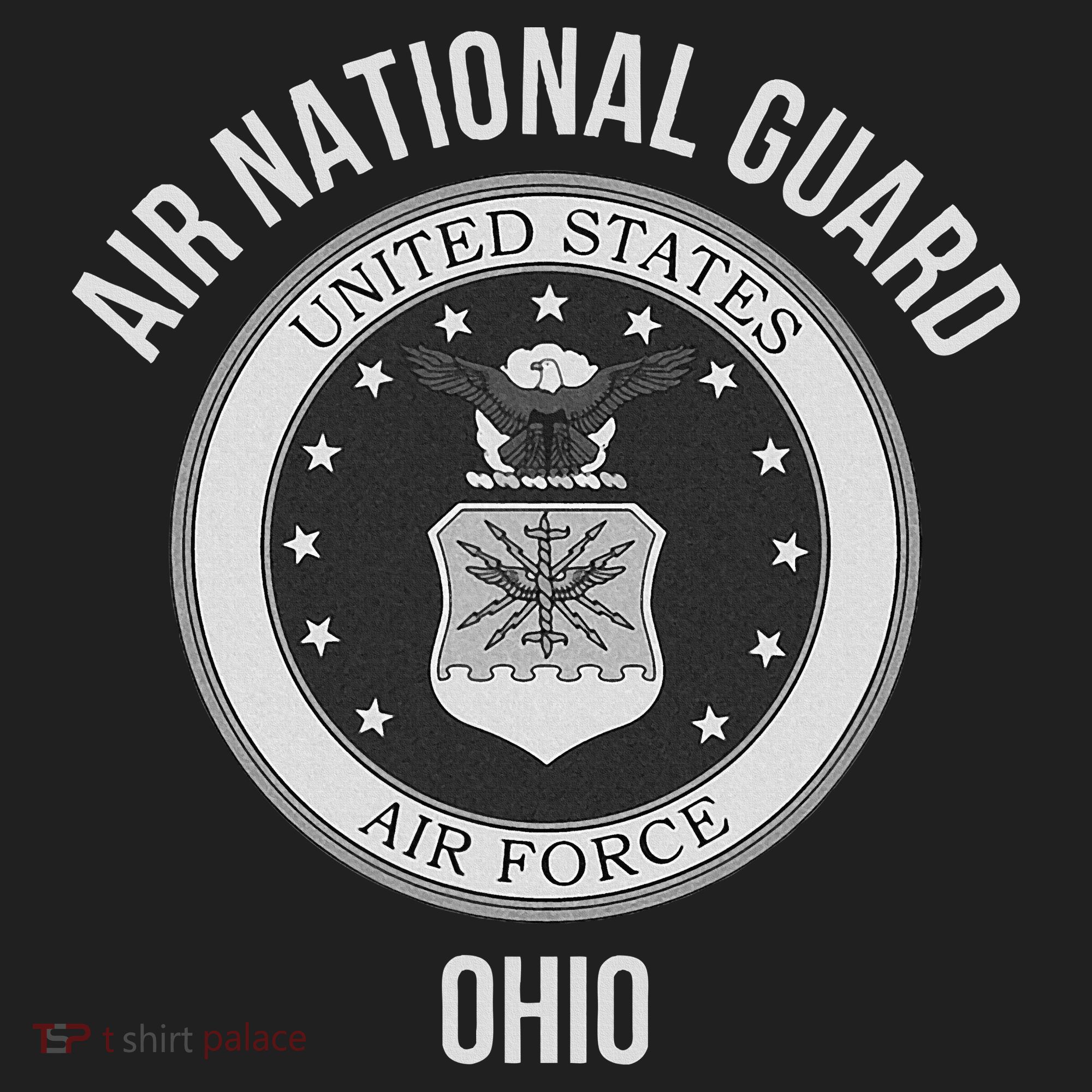 Ohio Air National Guard Beanie