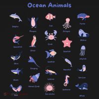 Ocean Animals Sea Marine Biology With Fish For Summer Women's Tank Top thumb 5