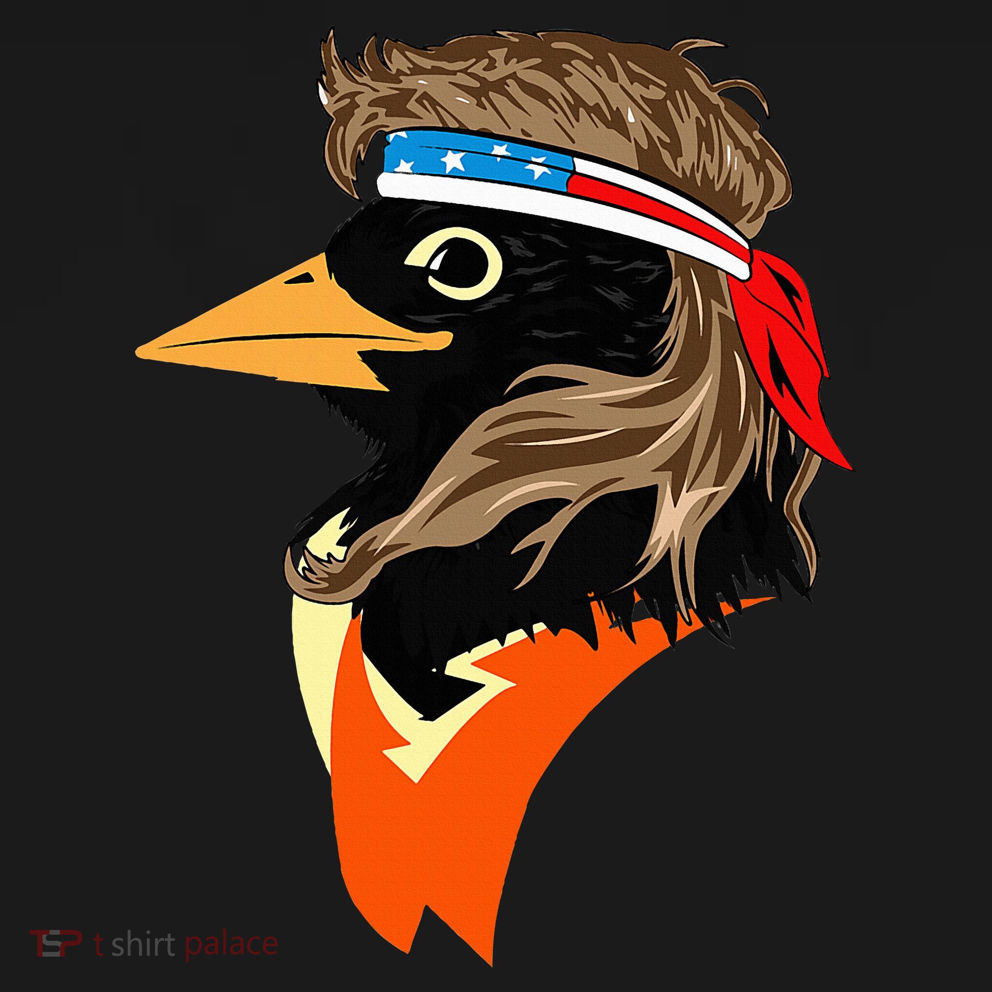 Oriole Bird American Hero Funny Trendy Women's Hoodie