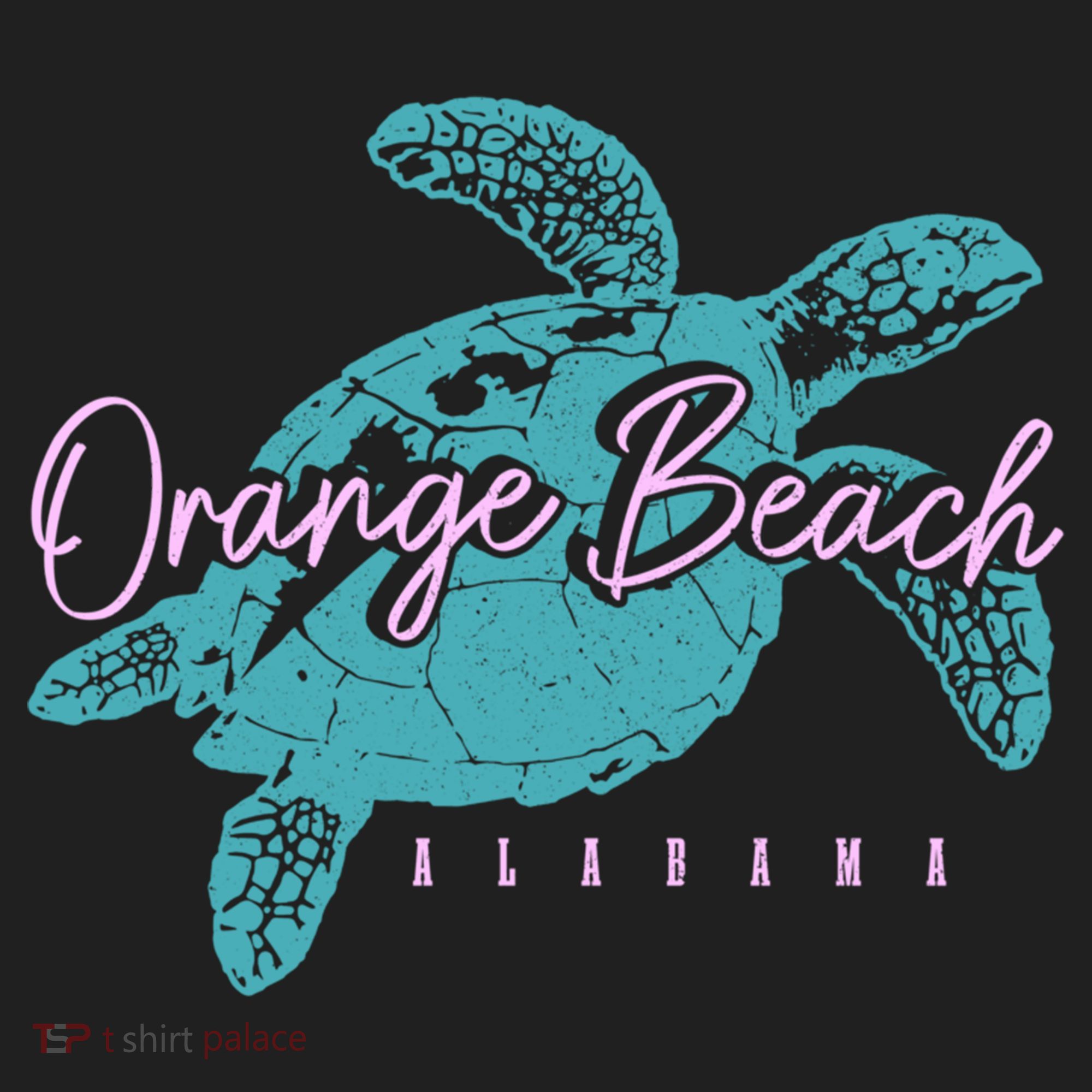 Orange Beach Alabama Al Sea Turtle Vacation Souvenir Gift Beanie