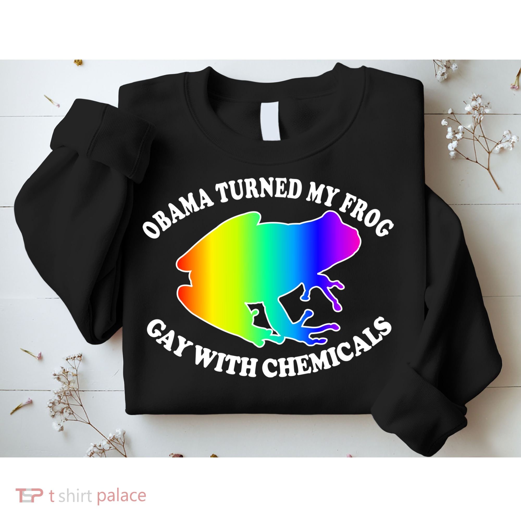 Obama Turned My Frog Gay With Chemicals Rainbow Sweatshirt