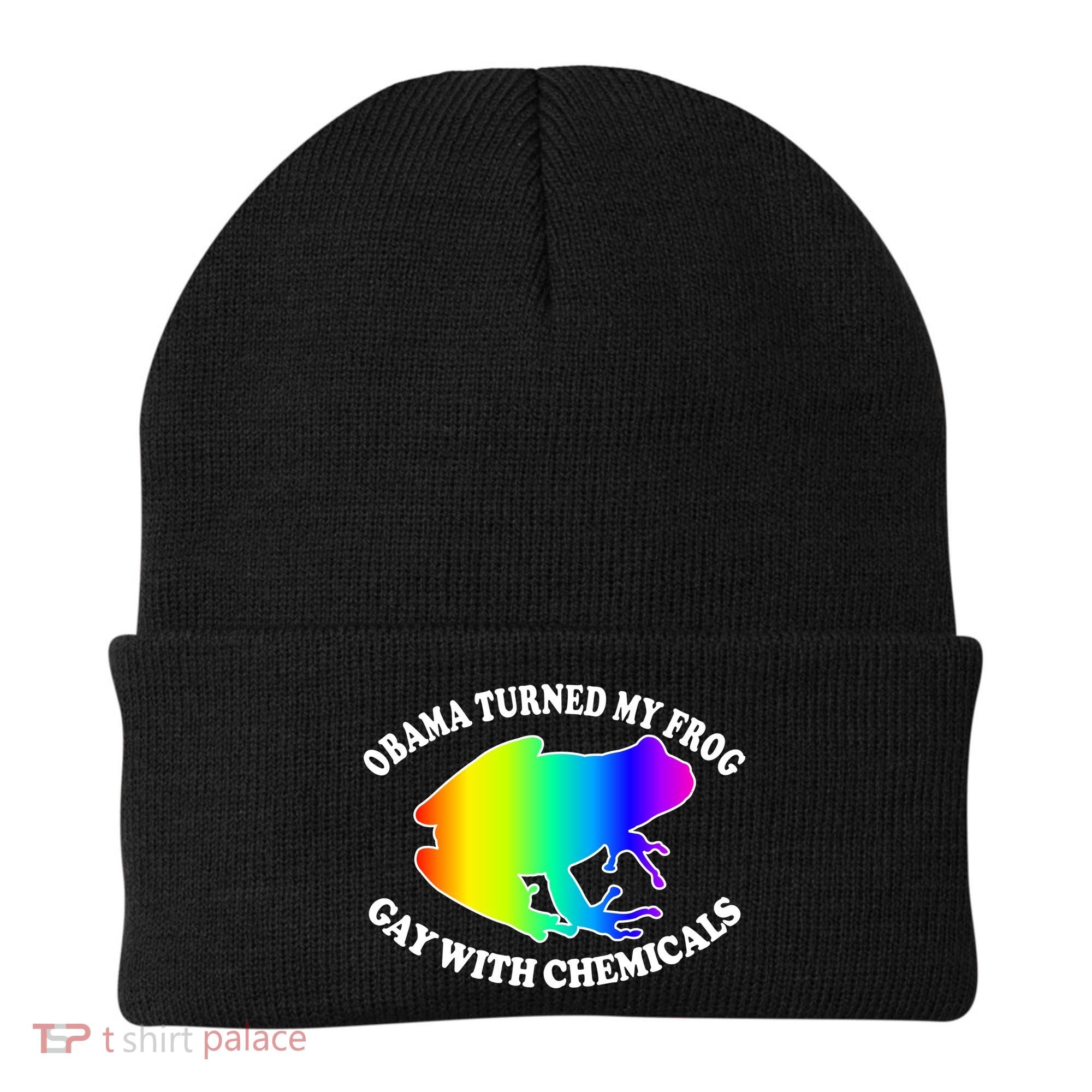 Obama Turned My Frog Gay With Chemicals Rainbow Beanie
