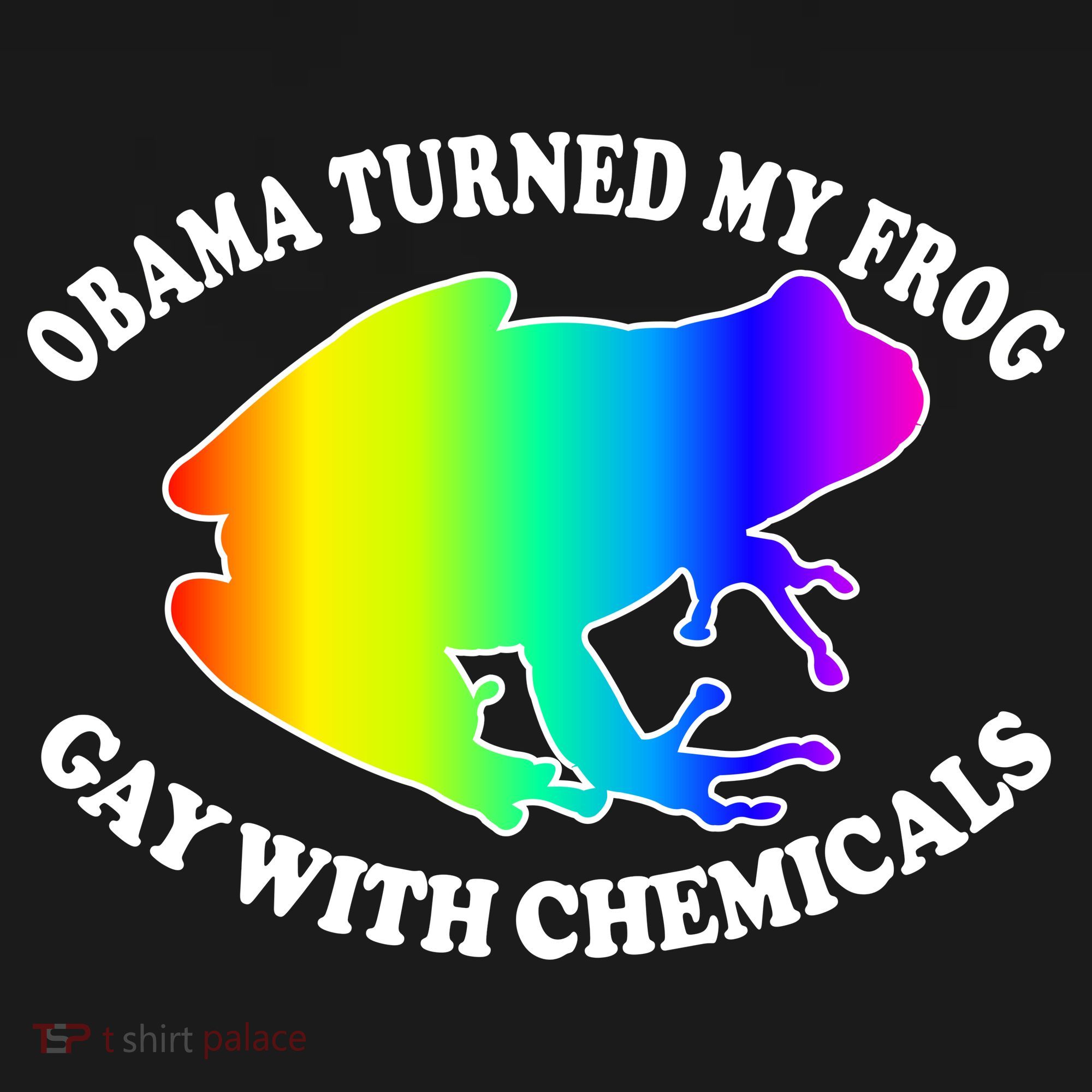 Obama Turned My Frog Gay With Chemicals Rainbow Women's Hoodie