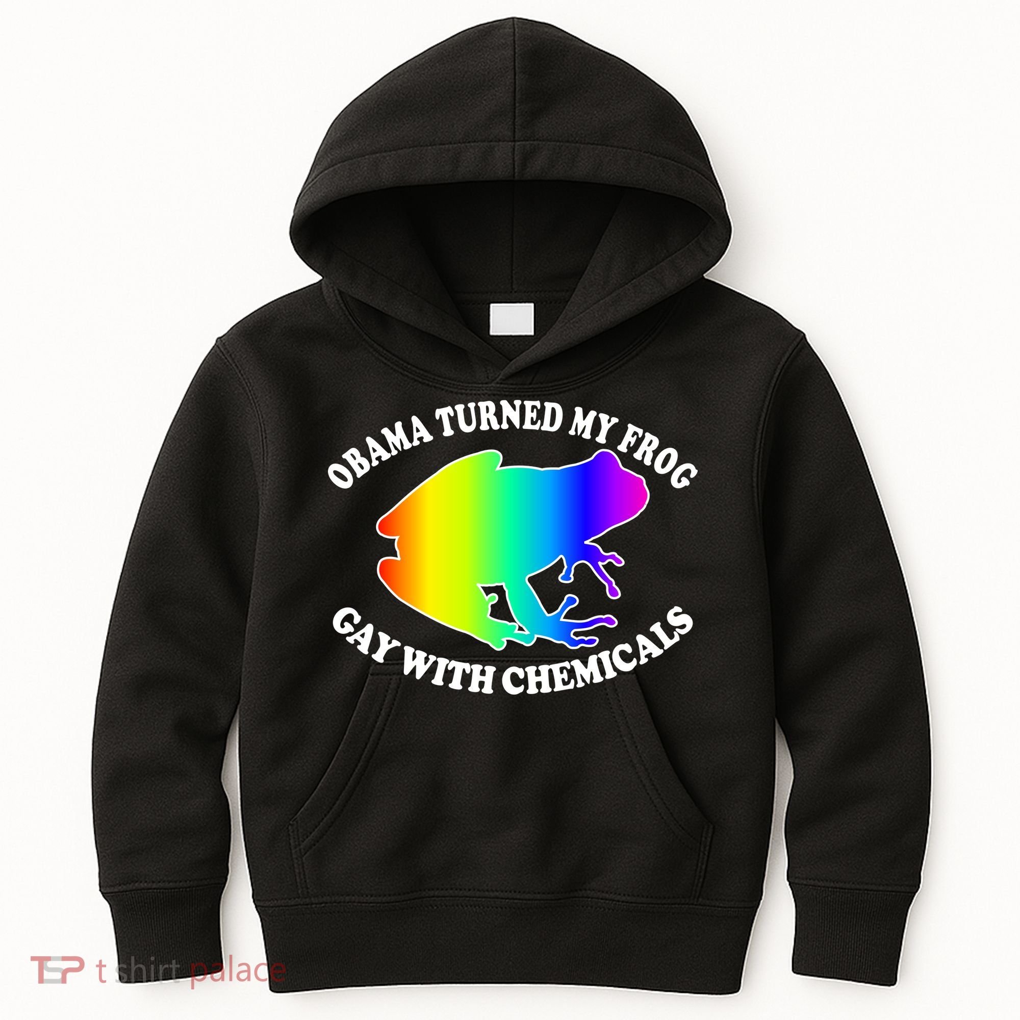 Obama Turned My Frog Gay With Chemicals Rainbow Kids Hoodie