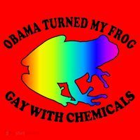 Obama Turned My Frog Gay With Chemicals Rainbow Santa Hat thumb 1