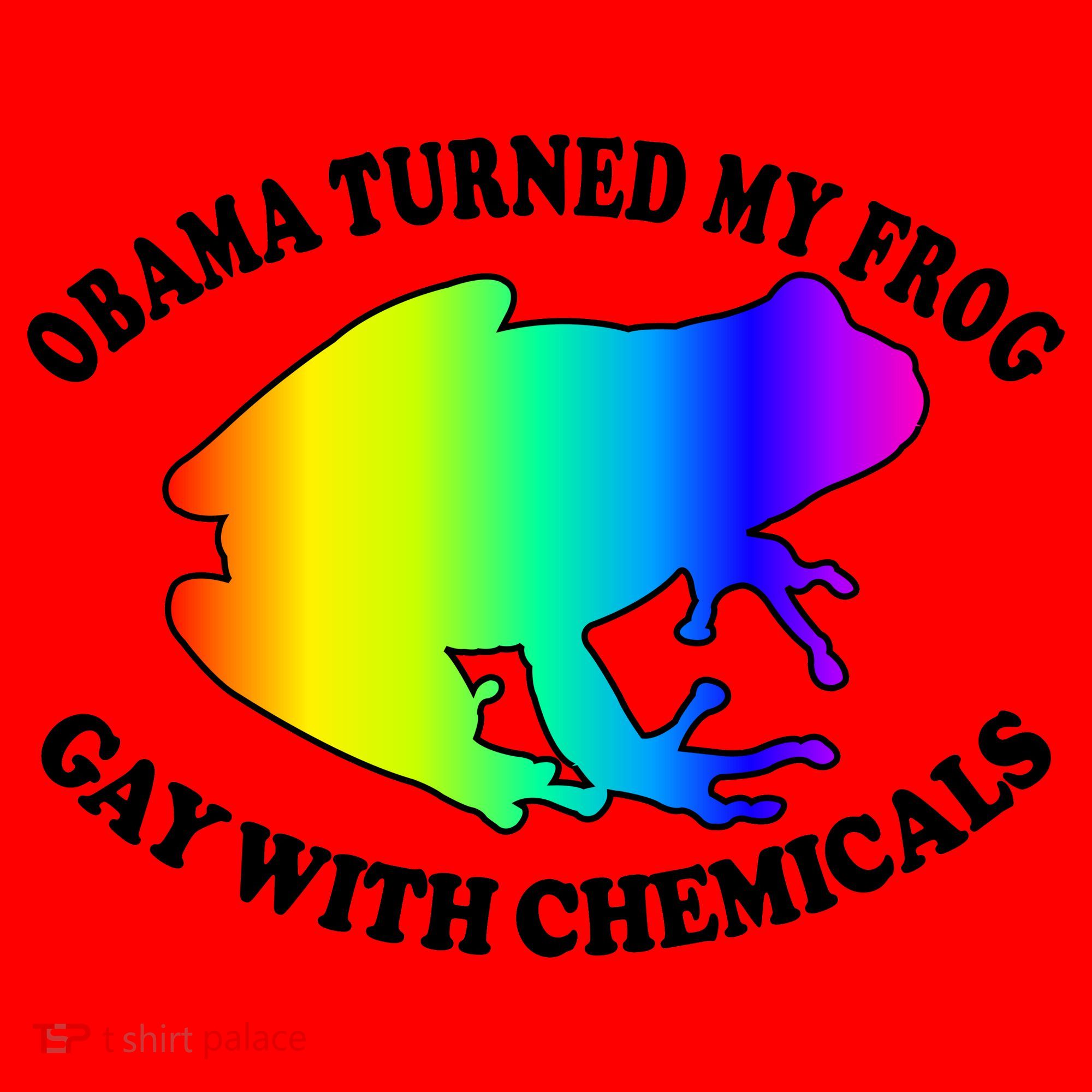 Obama Turned My Frog Gay With Chemicals Rainbow Santa Hat