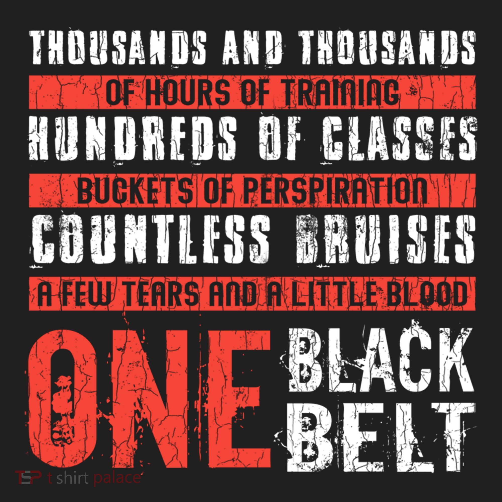 One Black Belt Funny Martial Arts Karate Taekwondo Graphic Gift Beanie