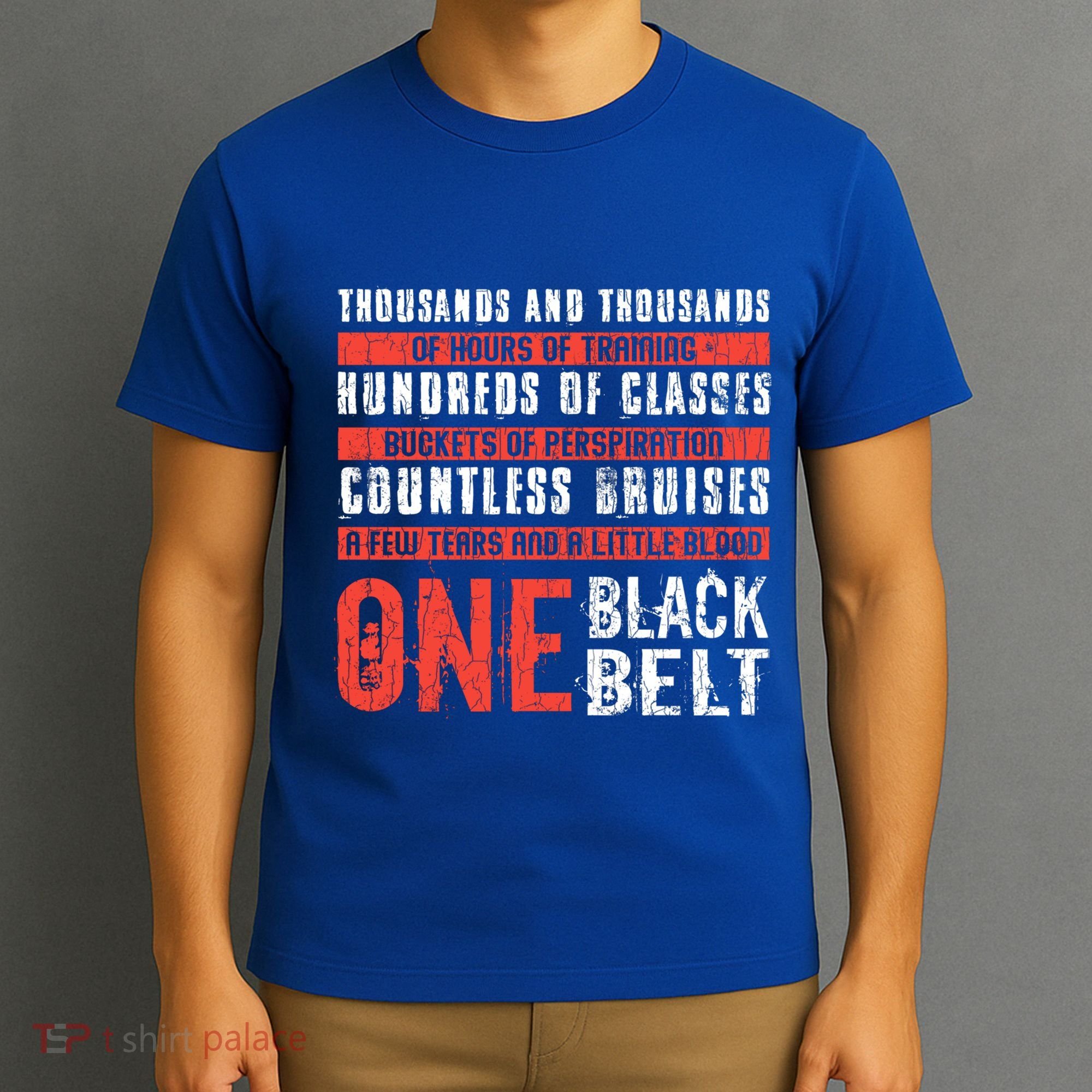 One Black Belt Funny Martial Arts Karate Taekwondo Graphic Gift T-Shirt