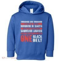 One Black Belt Funny Martial Arts Karate Taekwondo Graphic Gift Toddler Hoodie thumb 0