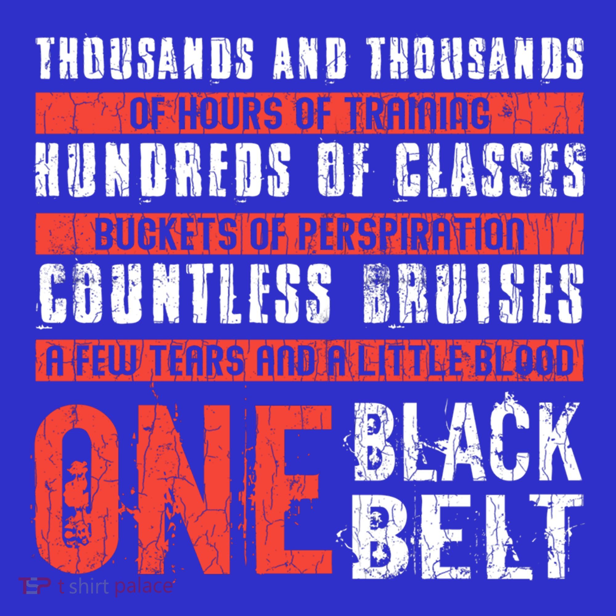 One Black Belt Funny Martial Arts Karate Taekwondo Graphic Gift Kids Sweatshirt