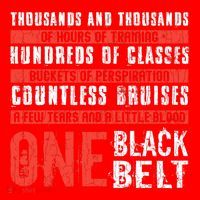 One Black Belt Funny Martial Arts Karate Taekwondo Graphic Gift Santa Hat thumb 1