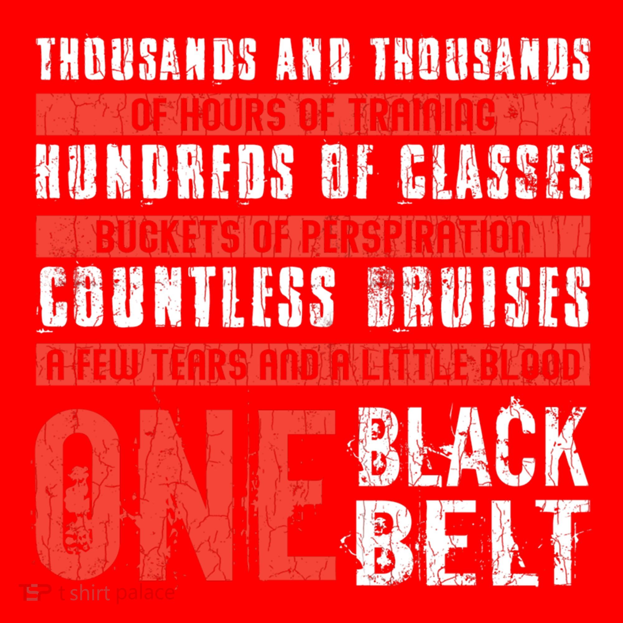 One Black Belt Funny Martial Arts Karate Taekwondo Graphic Gift Santa Hat