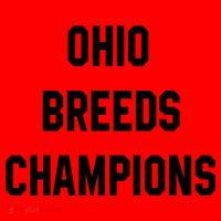 Ohio Breeds Champions Santa Hat thumb 1