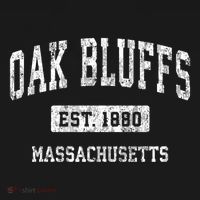 Oak Bluffs Massachusetts Ma Vintage Sports Established T-Shirt thumb 7