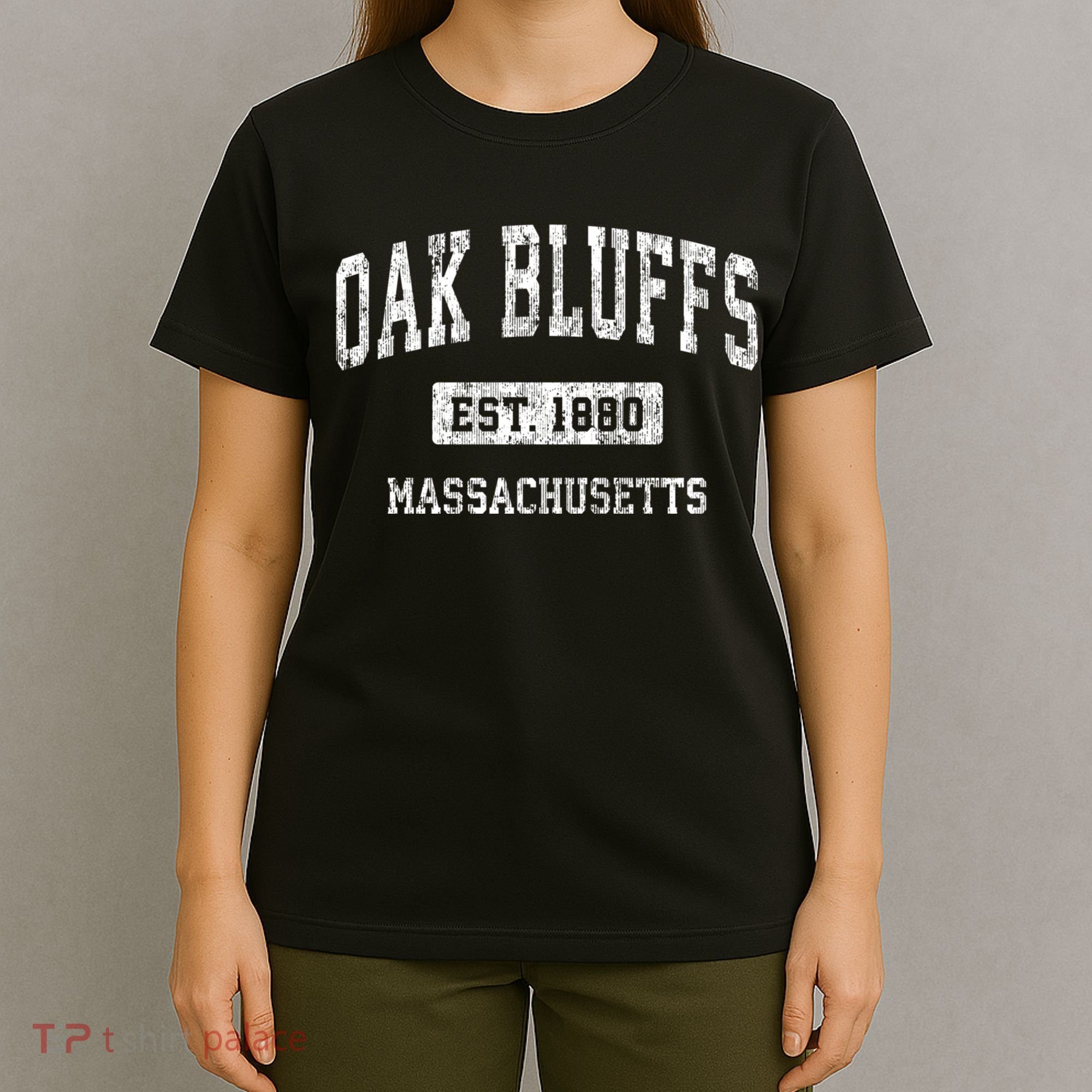 Oak Bluffs Massachusetts Ma Vintage Sports Established T-Shirt